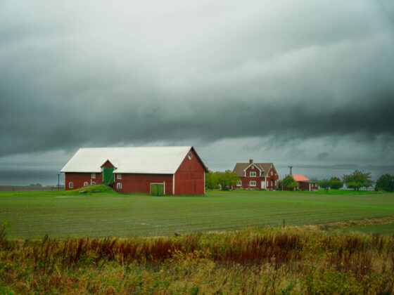 USDA Hurricane Relief